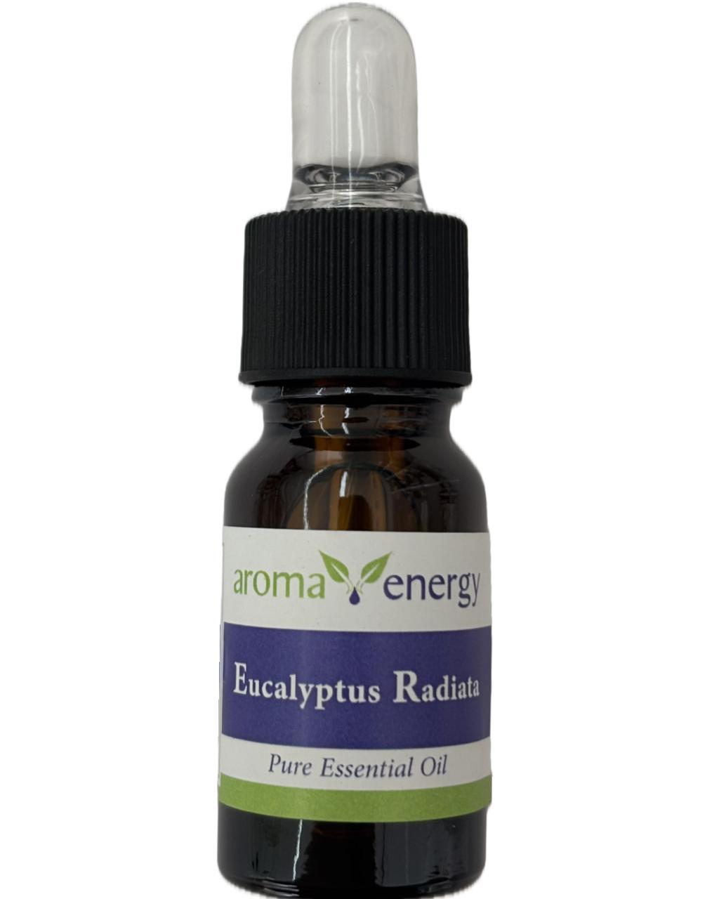 Ecalyptus Radiata 10ml