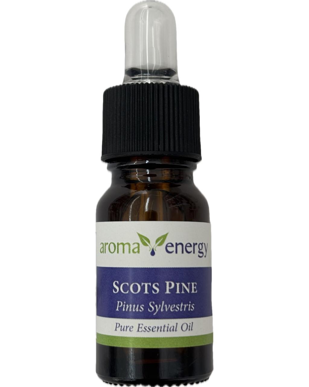 Scots Pine