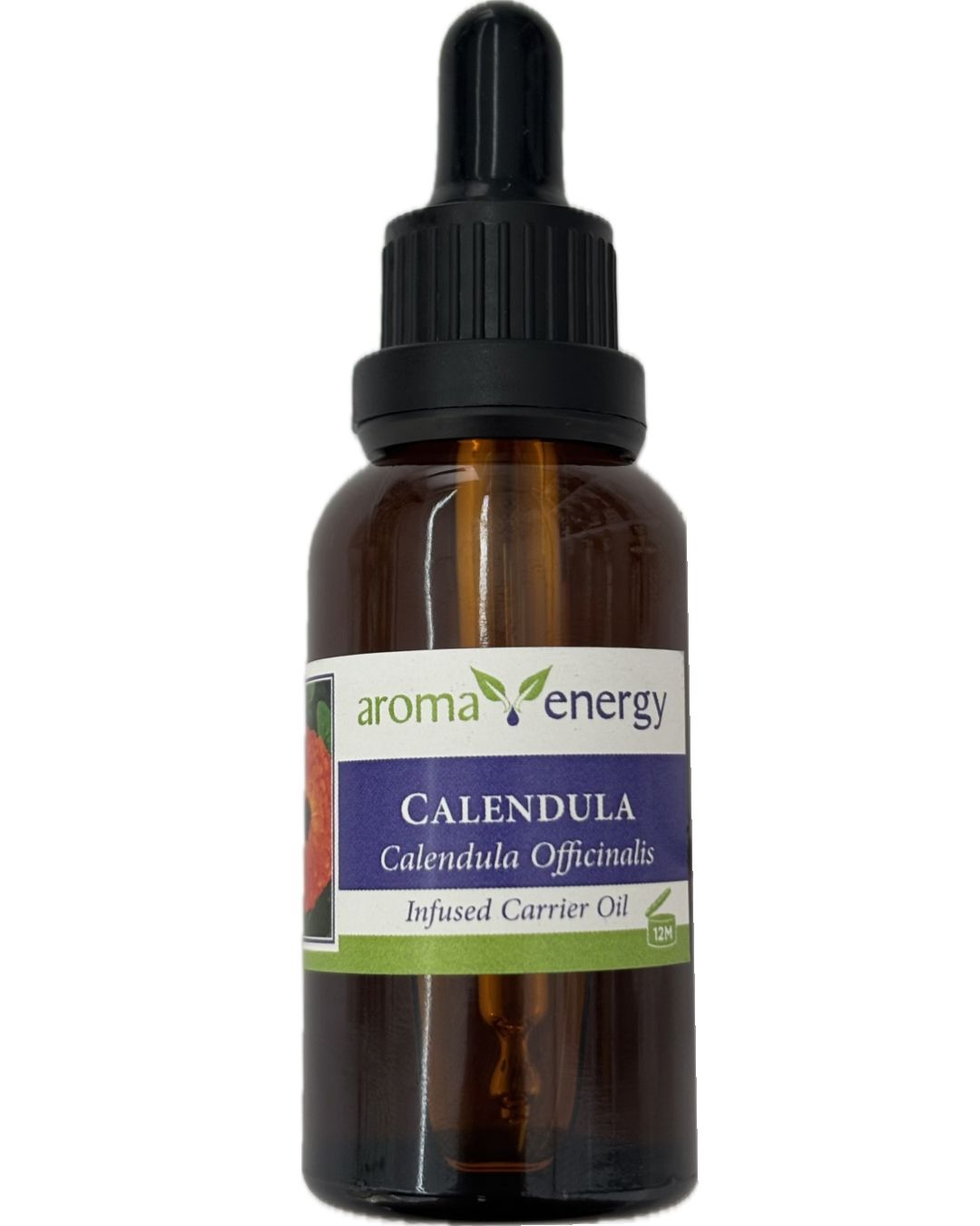 Calendula