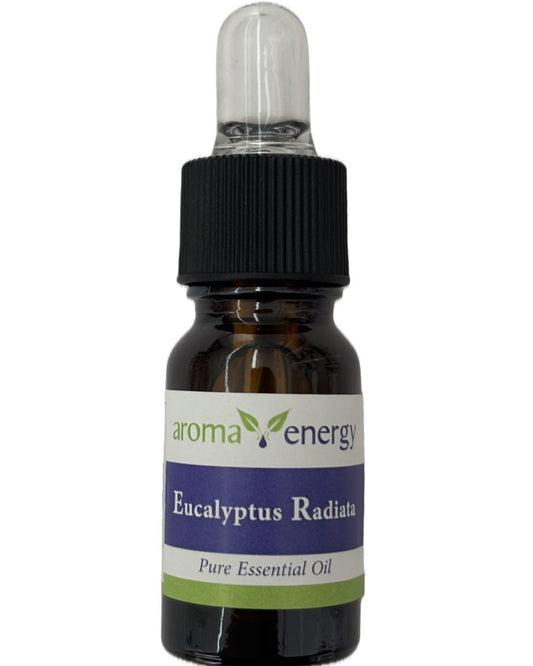 Ecalyptus Radiata 10ml