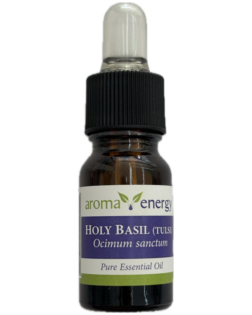 Holy Basil (Tulsi)