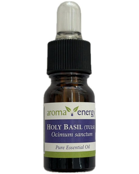 Holy Basil (Tulsi)