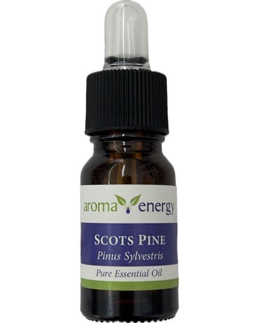 Scots Pine