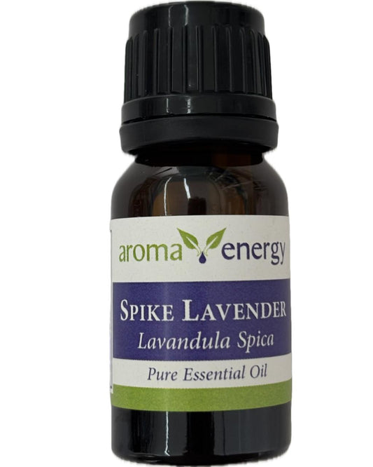 Spike Lavender
