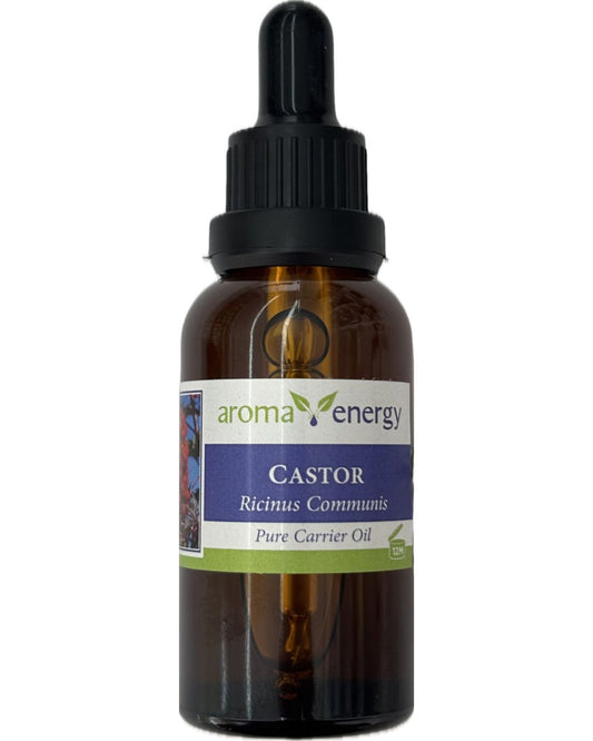 Castor